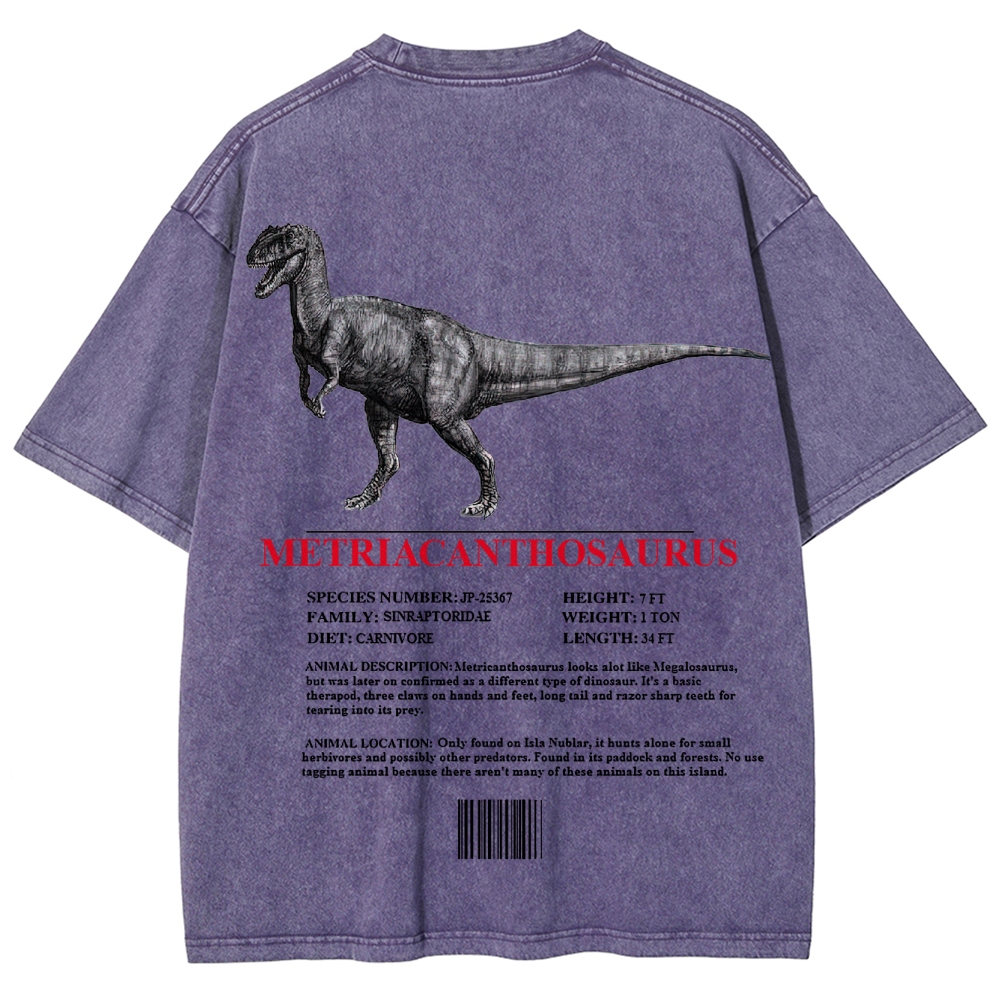 Metricanthosaurus Dinosaur Field Guide Graphic Washed T-Shirt