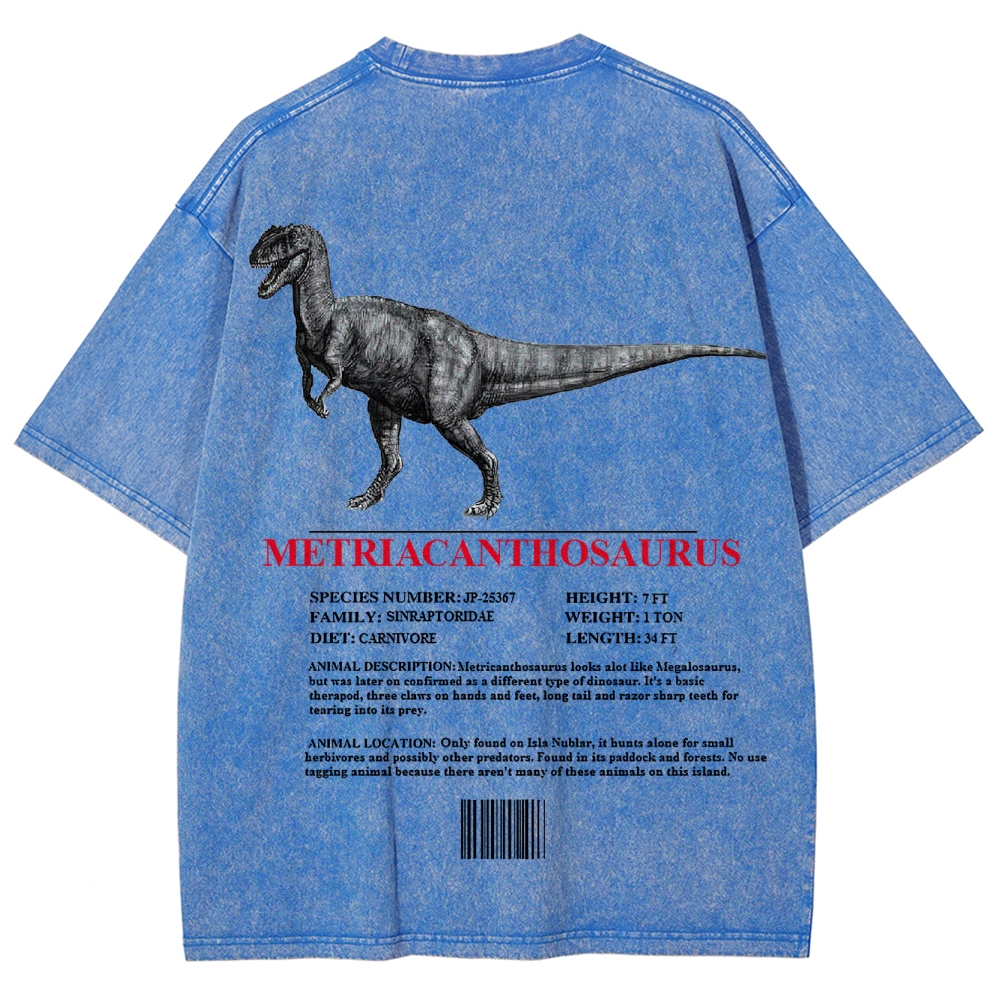 Metricanthosaurus Dinosaur Field Guide Graphic Washed T-Shirt