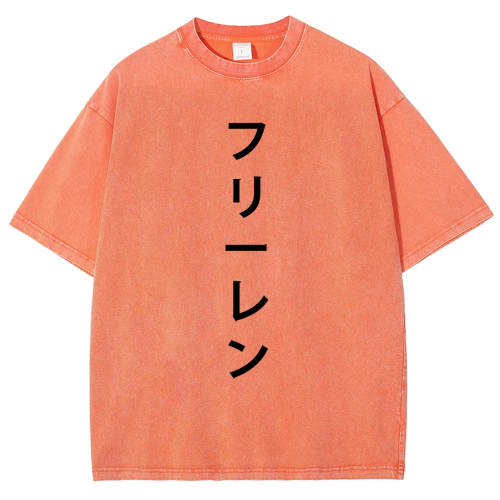 Frieren Unisex Fit Washed T-Shirt 2601005954