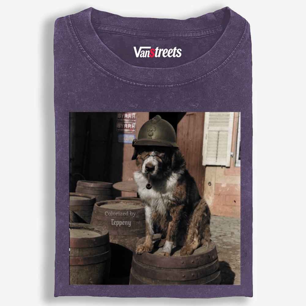 Ace Veteran Woof Retro Washed T-Shirt | 100% Cotton | Streetwear Essential
