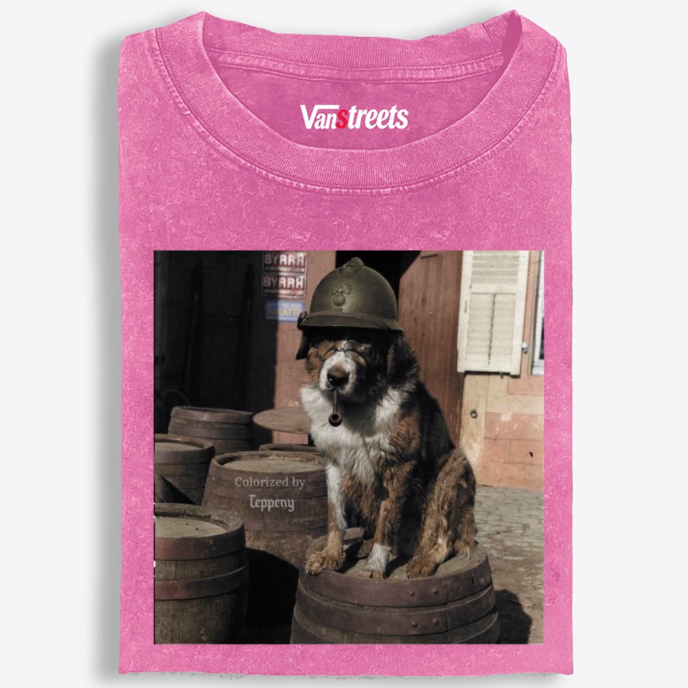 Ace Veteran Woof Retro Washed T-Shirt | 100% Cotton | Streetwear Essential