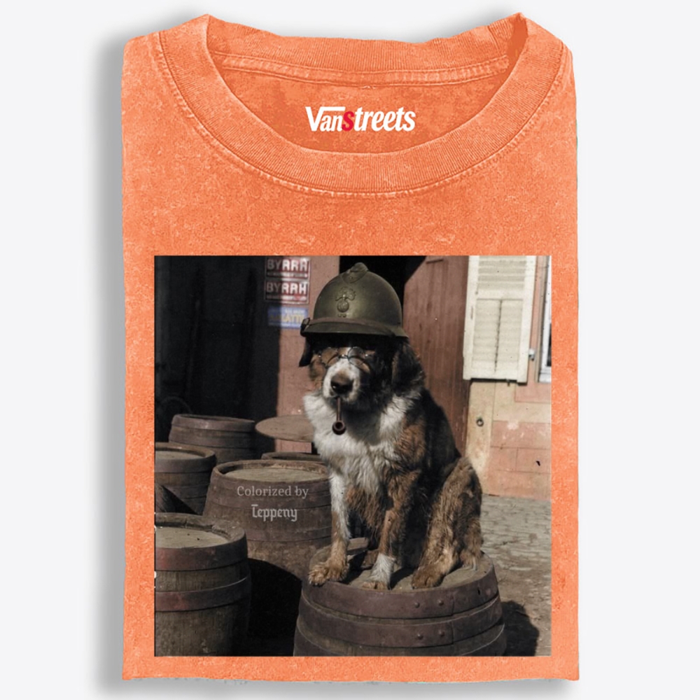 Ace Veteran Woof Retro Washed T-Shirt | 100% Cotton | Streetwear Essential