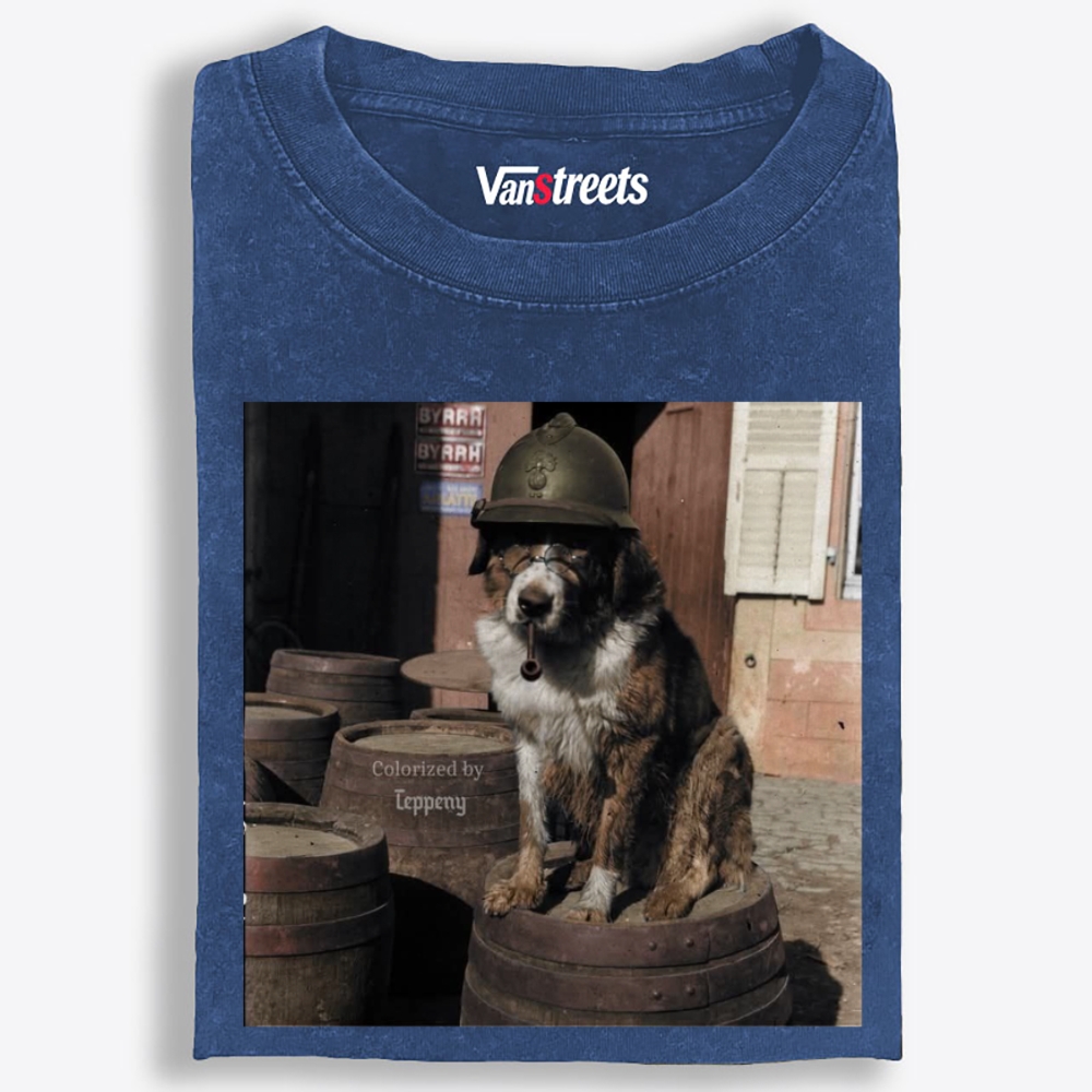 Ace Veteran Woof Retro Washed T-Shirt | 100% Cotton | Streetwear Essential