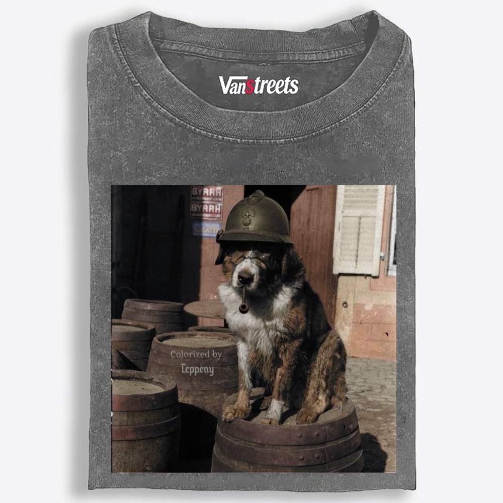 Ace Veteran Woof Retro Washed T-Shirt | 100% Cotton | Streetwear Essential
