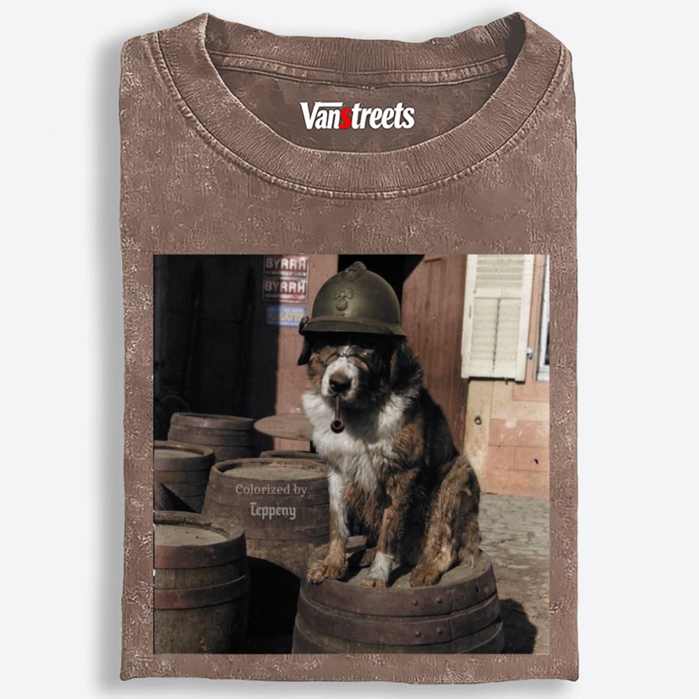 Ace Veteran Woof Retro Washed T-Shirt | 100% Cotton | Streetwear Essential