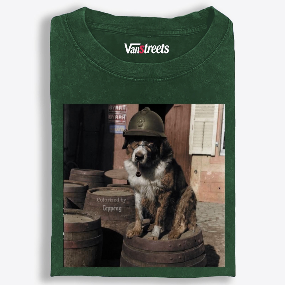 Ace Veteran Woof Retro Washed T-Shirt | 100% Cotton | Streetwear Essential