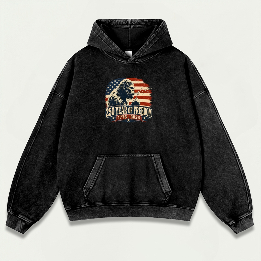 250 Years Of Freedom Vintage Premium Heavyweight Trail Hoodie-HikeVista