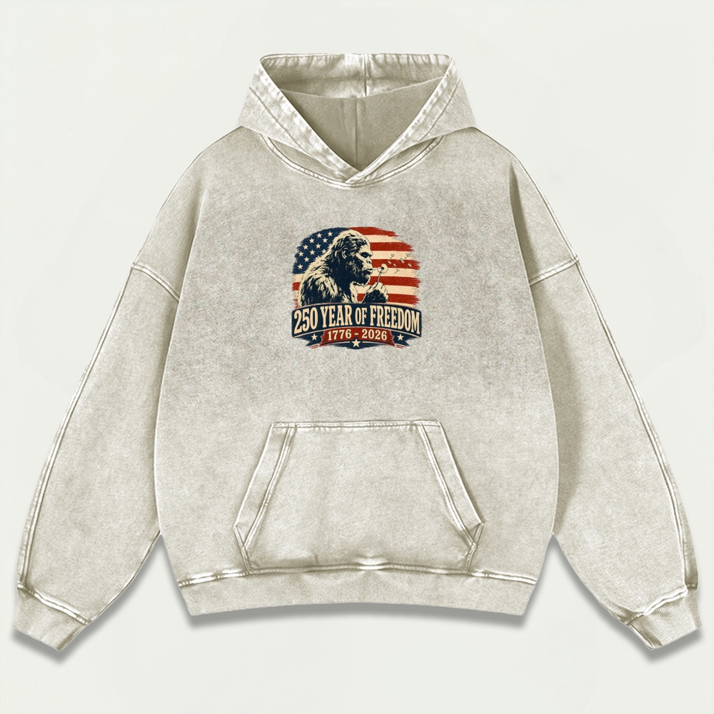 250 Years Of Freedom Vintage Premium Heavyweight Trail Hoodie-HikeVista