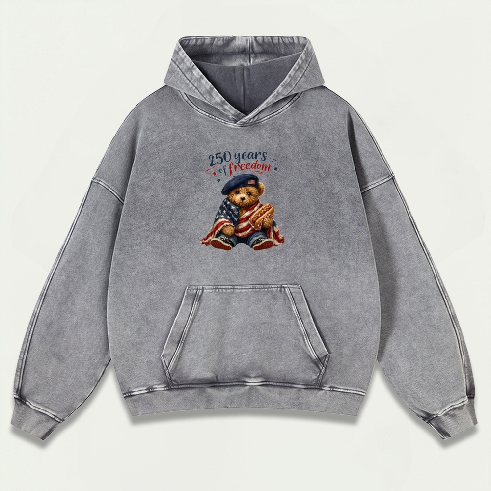 250 Years Of Freedom Vintage Premium Heavyweight Trail Hoodie-HikeVista