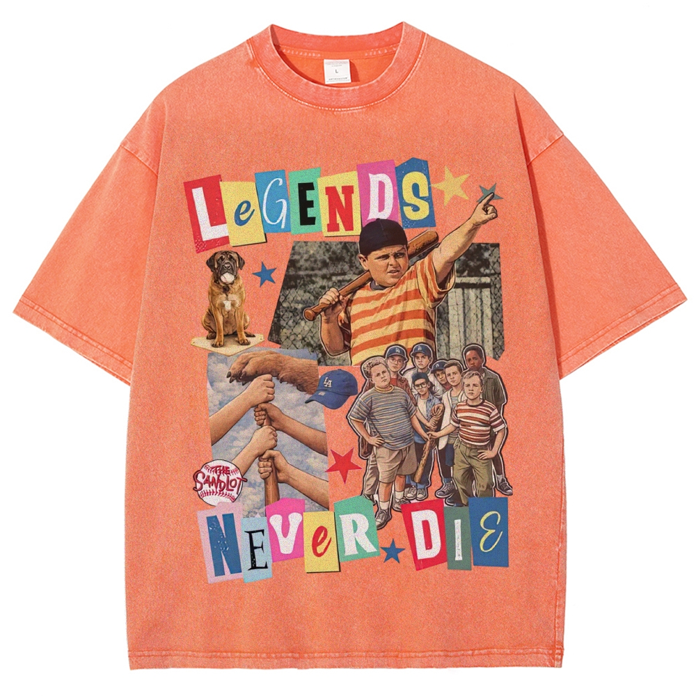 Collage Baseball Kid Dog "Legends Never Die" Retro Movie Vintage Washed T-Shirt