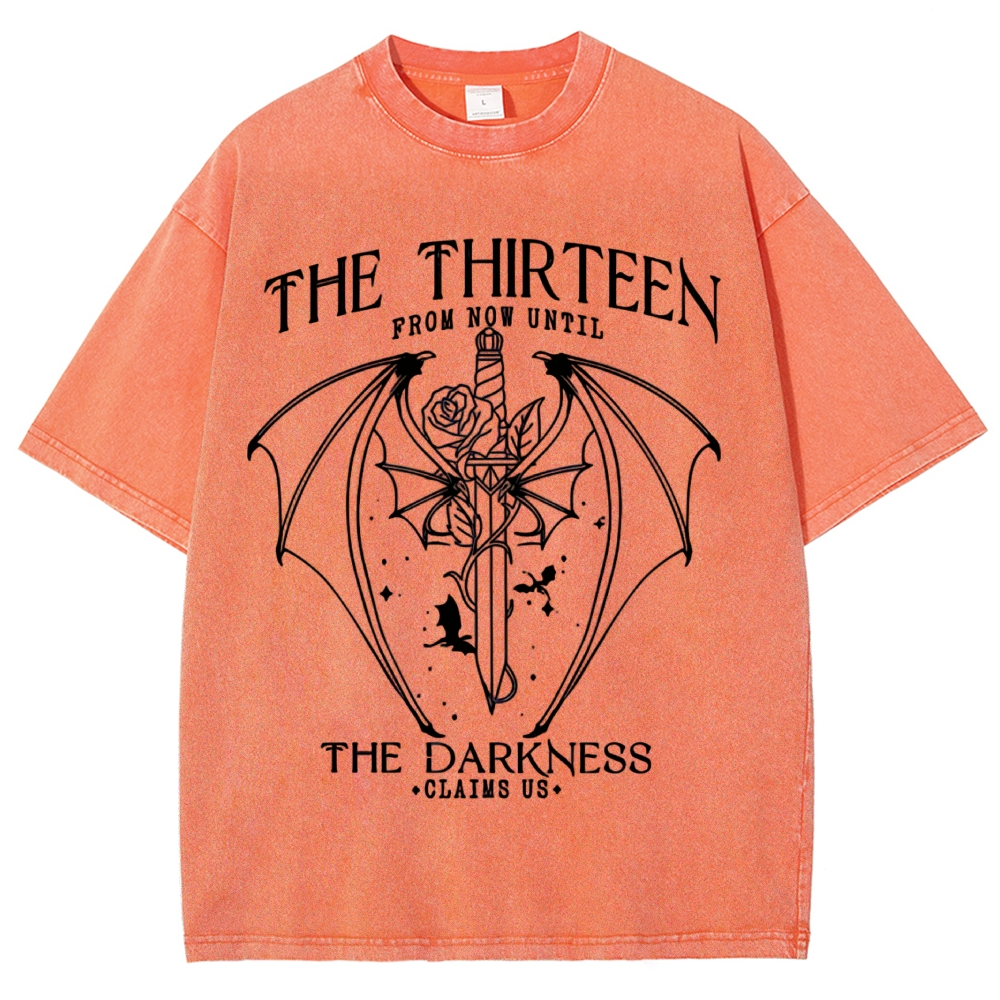 Dark Fantasy Bat Wing Sword Rose "The Thirteen" Book Quote Line Art Vintage Washed T-Shirt