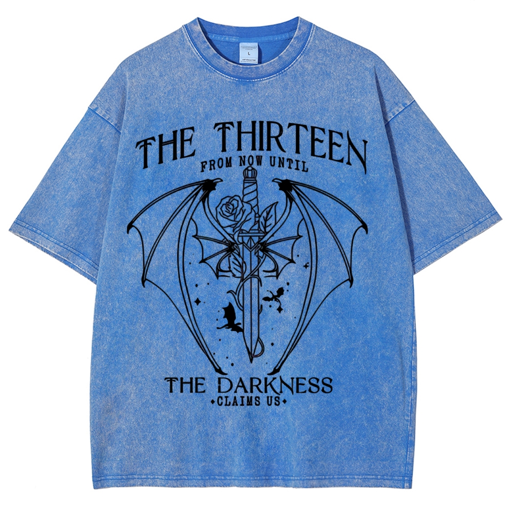 Dark Fantasy Bat Wing Sword Rose "The Thirteen" Book Quote Line Art Vintage Washed T-Shirt