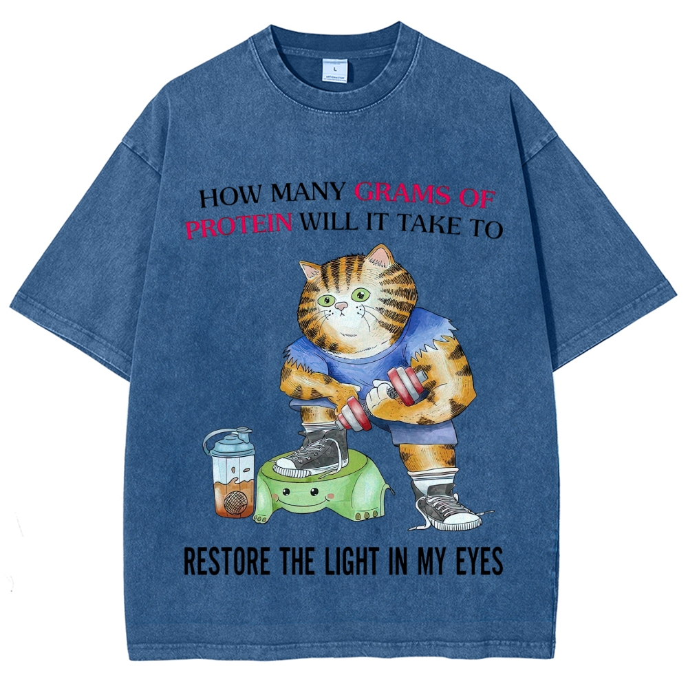 Buff Orange Tabby Gym Cat Protein Meme Sarcastic Quote Vintage Washed T-Shirt