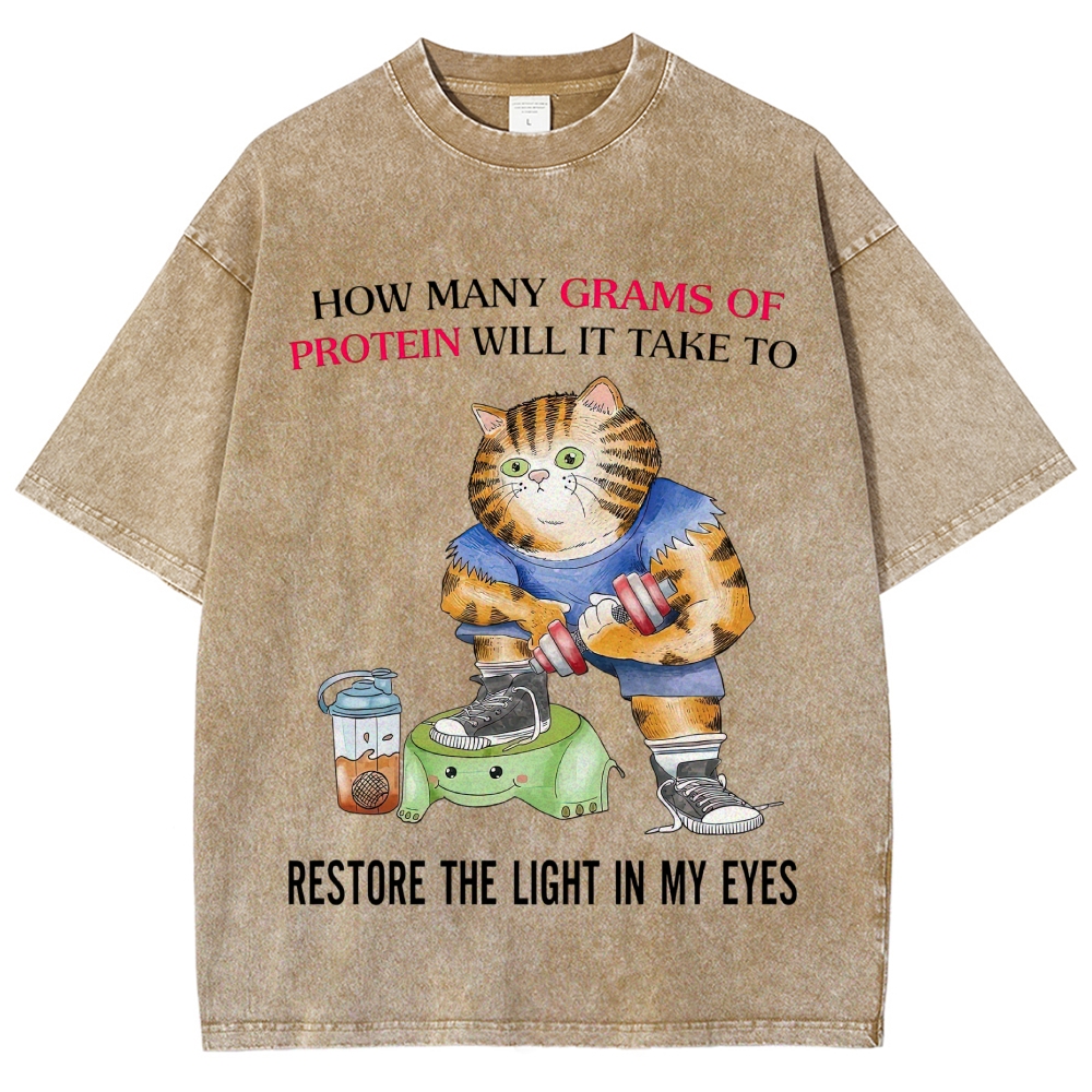 Buff Orange Tabby Gym Cat Protein Meme Sarcastic Quote Vintage Washed T-Shirt