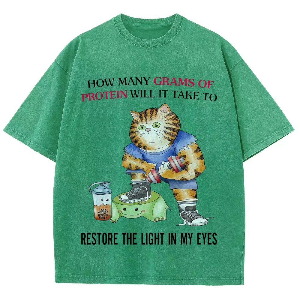 Buff Orange Tabby Gym Cat Protein Meme Sarcastic Quote Vintage Washed T-Shirt