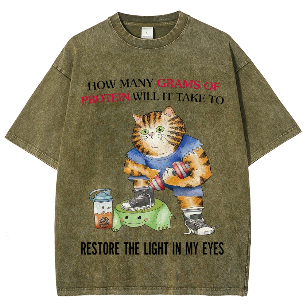 Buff Orange Tabby Gym Cat Protein Meme Sarcastic Quote Vintage Washed T-Shirt