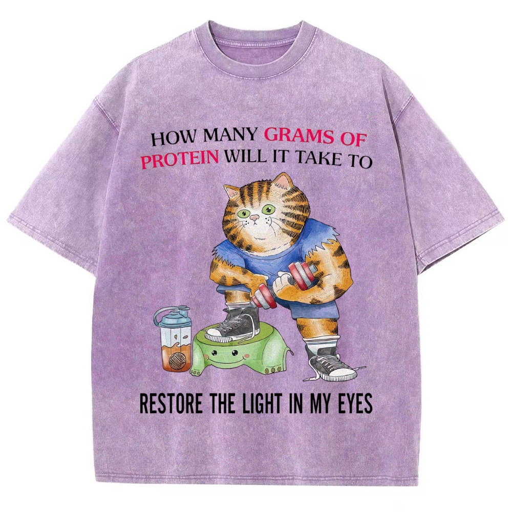 Buff Orange Tabby Gym Cat Protein Meme Sarcastic Quote Vintage Washed T-Shirt