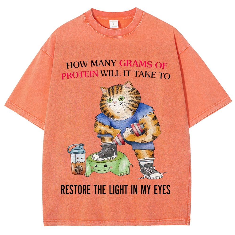 Buff Orange Tabby Gym Cat Protein Meme Sarcastic Quote Vintage Washed T-Shirt