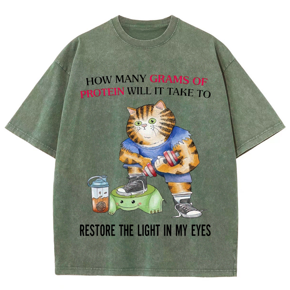 Buff Orange Tabby Gym Cat Protein Meme Sarcastic Quote Vintage Washed T-Shirt