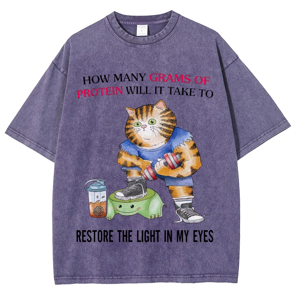 Buff Orange Tabby Gym Cat Protein Meme Sarcastic Quote Vintage Washed T-Shirt