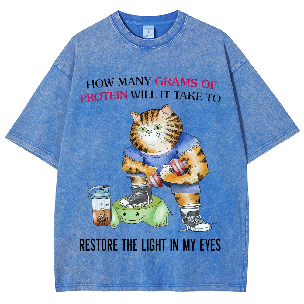Buff Orange Tabby Gym Cat Protein Meme Sarcastic Quote Vintage Washed T-Shirt