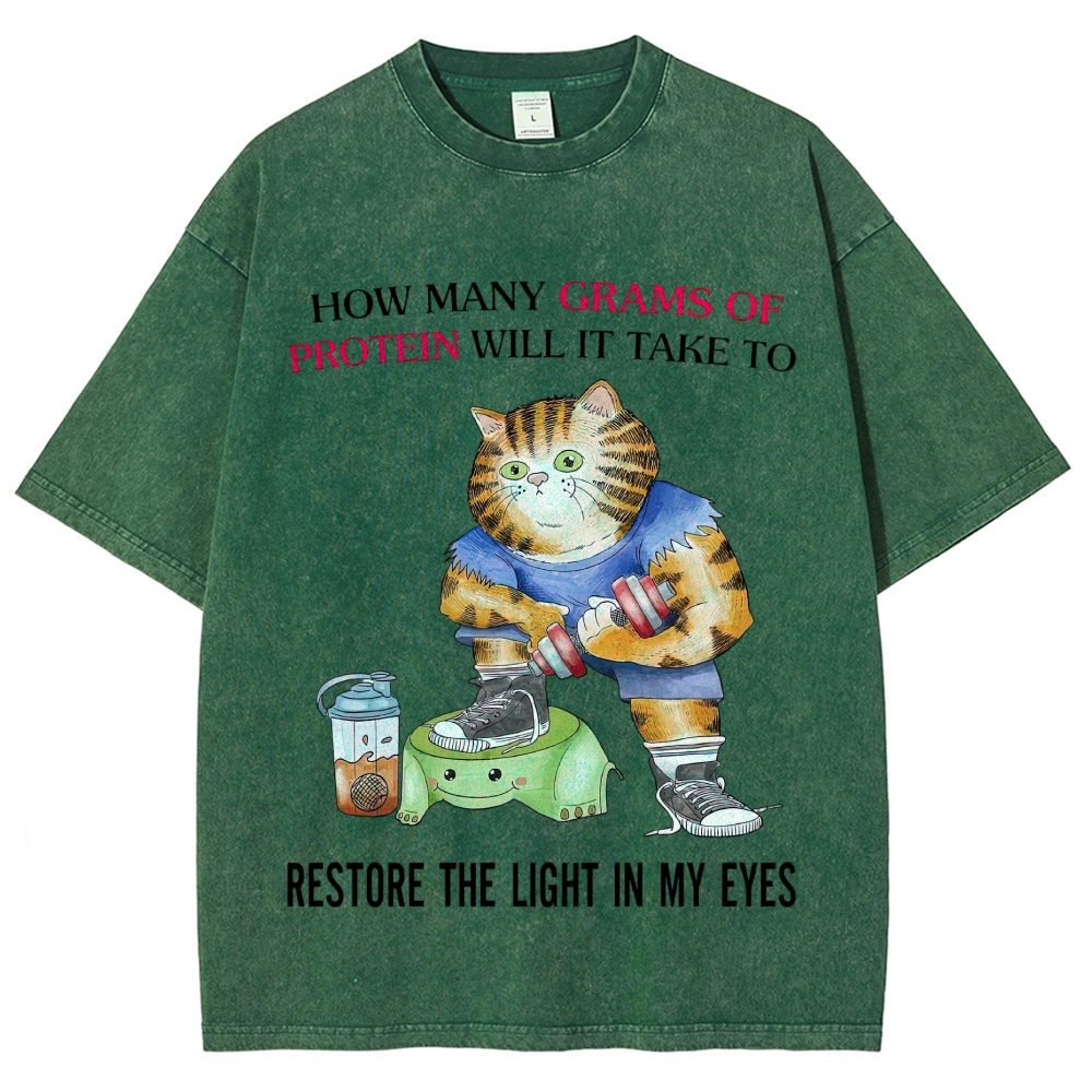 Buff Orange Tabby Gym Cat Protein Meme Sarcastic Quote Vintage Washed T-Shirt