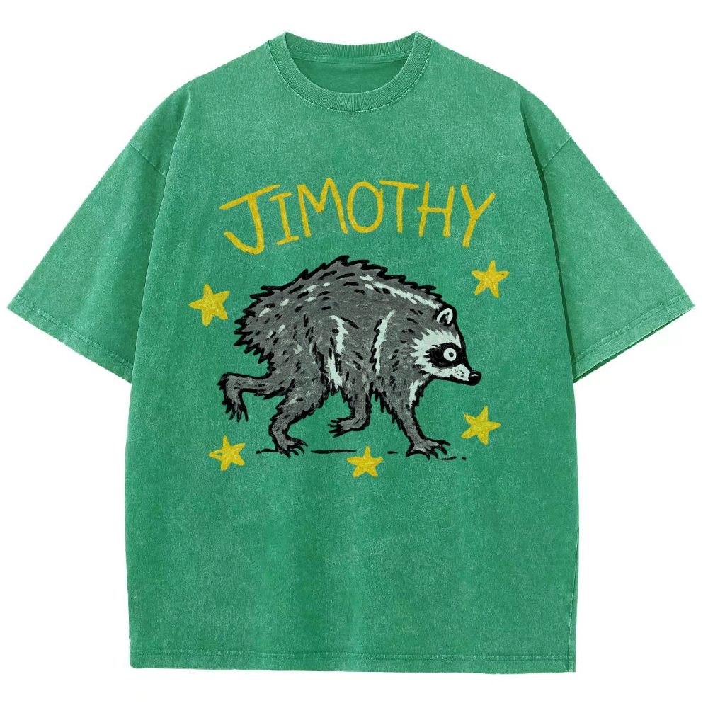 Trendy Raccoon Meme Washed T-Shirt 