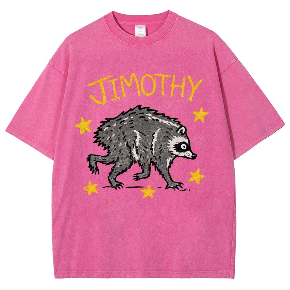 Trendy Raccoon Meme Washed T-Shirt 