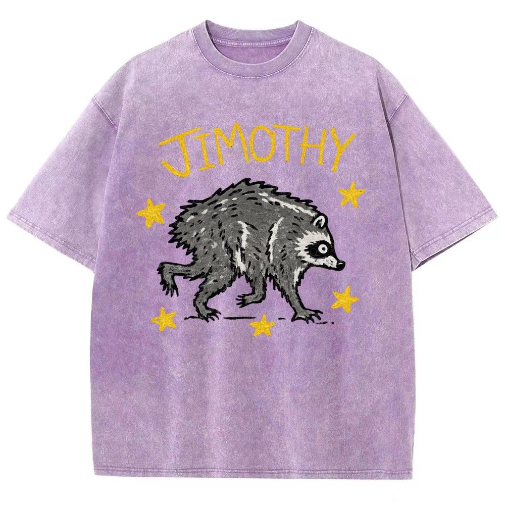 Trendy Raccoon Meme Washed T-Shirt 