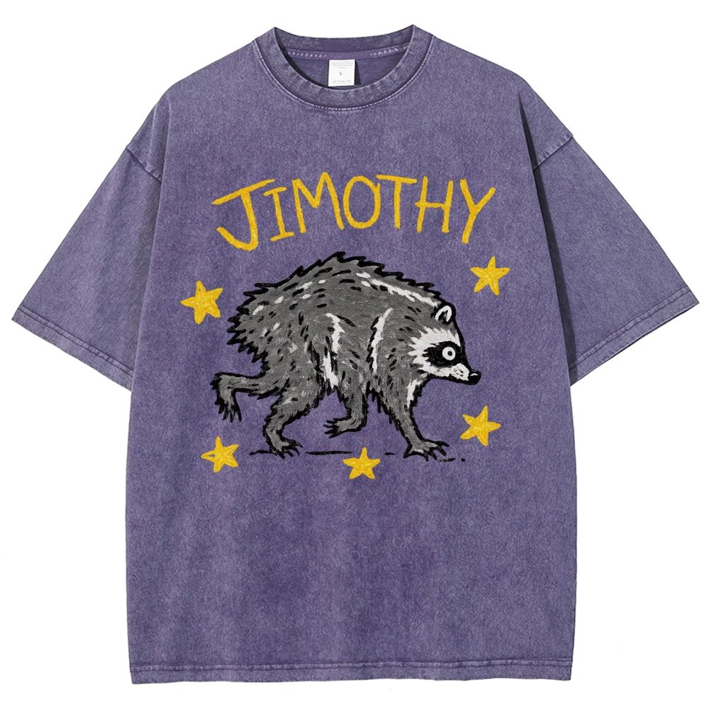 Trendy Raccoon Meme Washed T-Shirt 