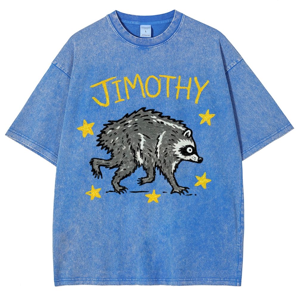 Trendy Raccoon Meme Washed T-Shirt 